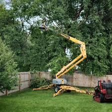  Forks, WA Tree Care Pros